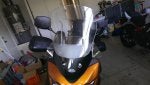 IMAG0040.jpg